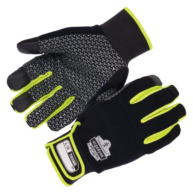 Palm and dorsal view of insulated freezer gloves .